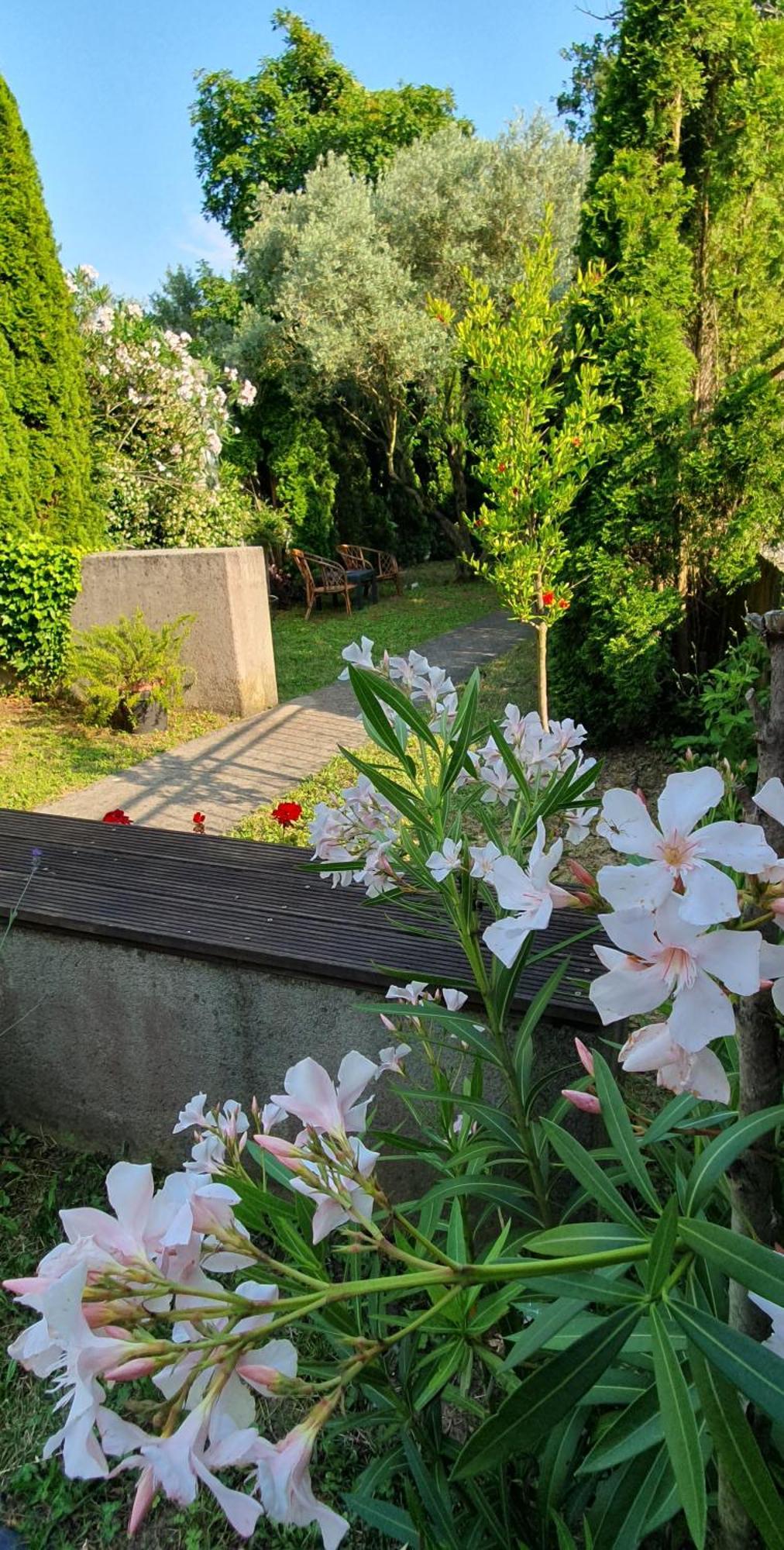 Appartement Cypress Garden à Portorož Extérieur photo