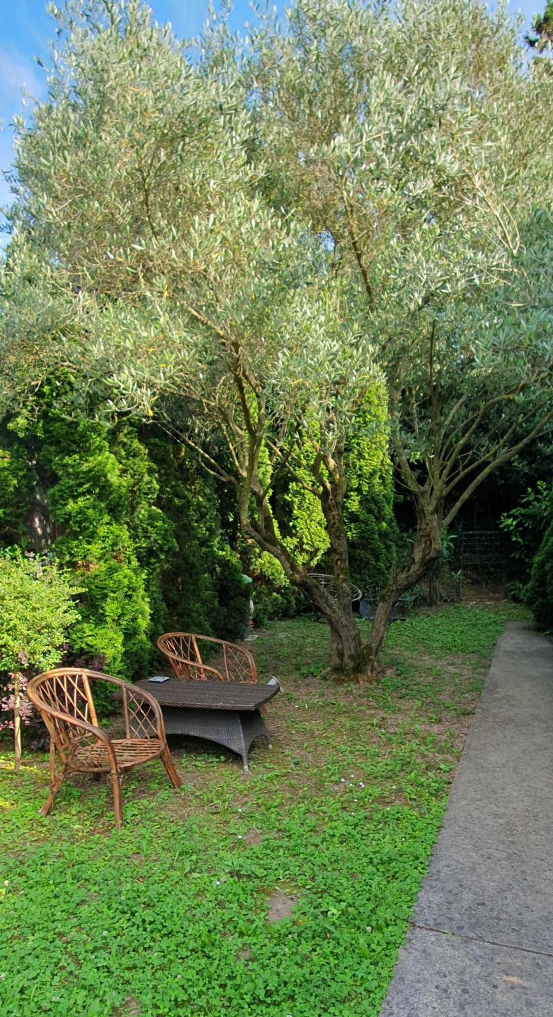 Appartement Cypress Garden à Portorož Extérieur photo